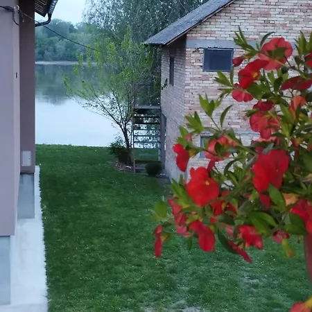 Vikendica Bagremov Hlad Case de vacanță *